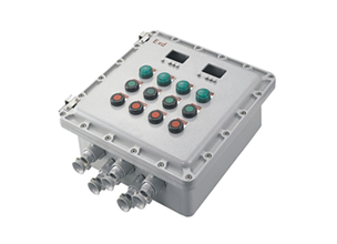 XBK系列防爆控制箱(IIB、IIC、Ex tD)